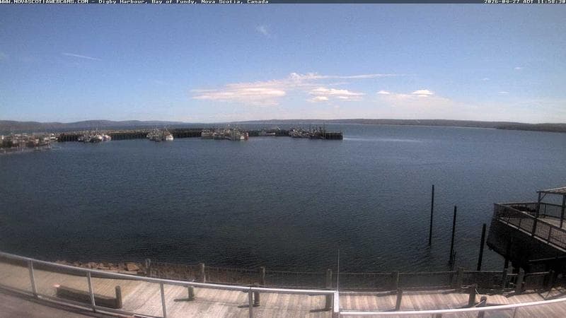 Digby Harbour