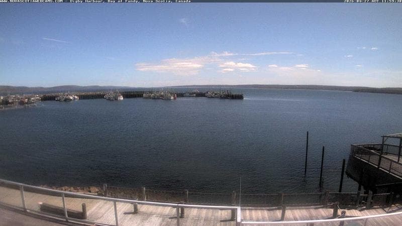 Digby Harbour