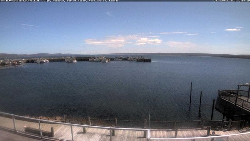 Digby Harbour