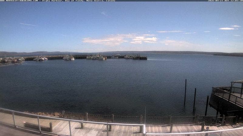 Digby Harbour