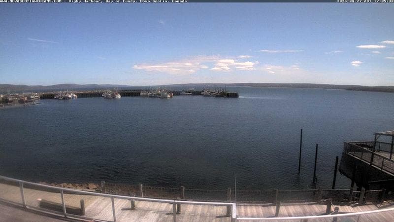 Digby Harbour