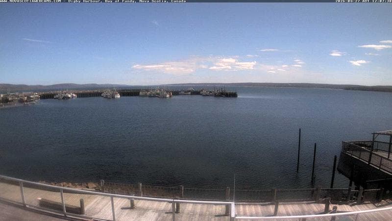 Digby Harbour