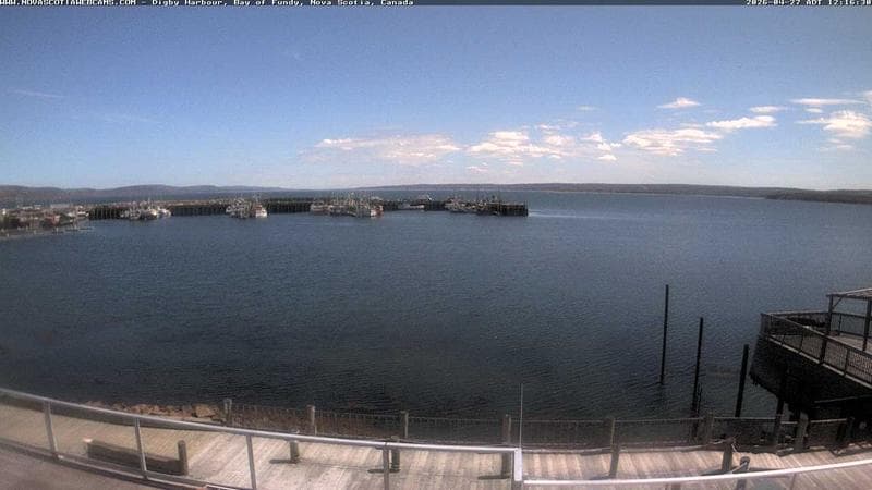 Digby Harbour