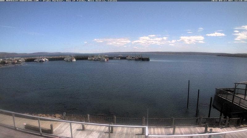 Digby Harbour