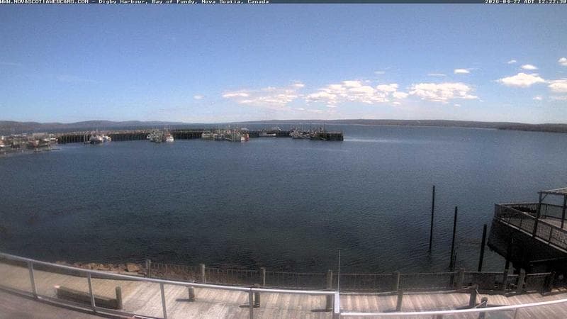 Digby Harbour