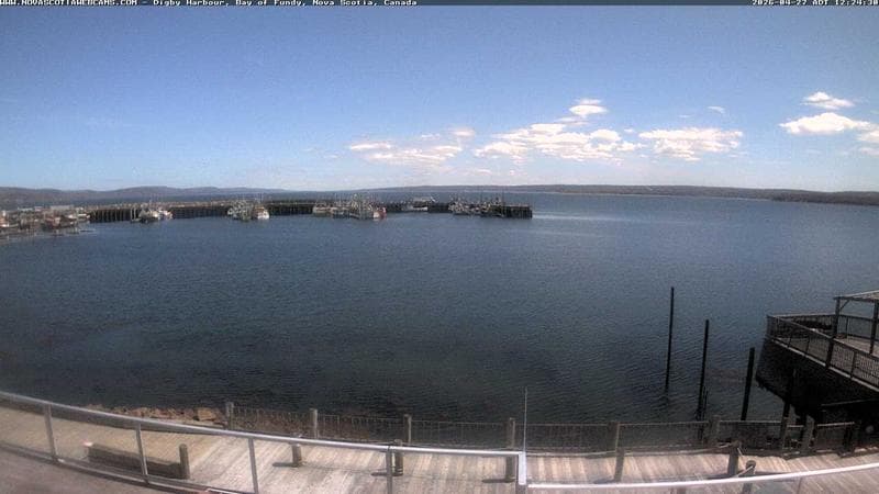 Digby Harbour