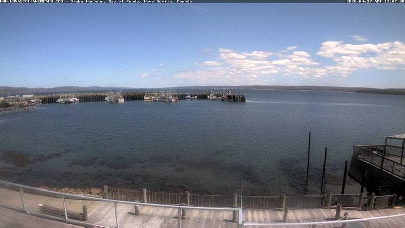 Digby Harbour