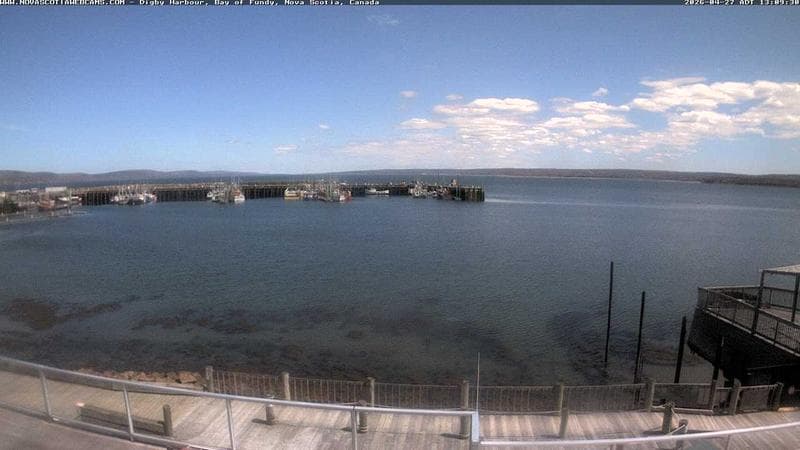 Digby Harbour