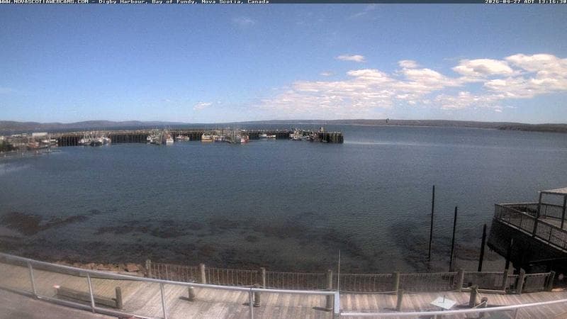 Digby Harbour