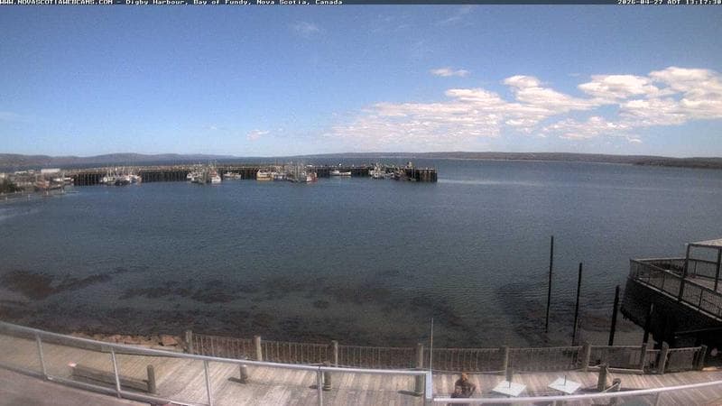Digby Harbour