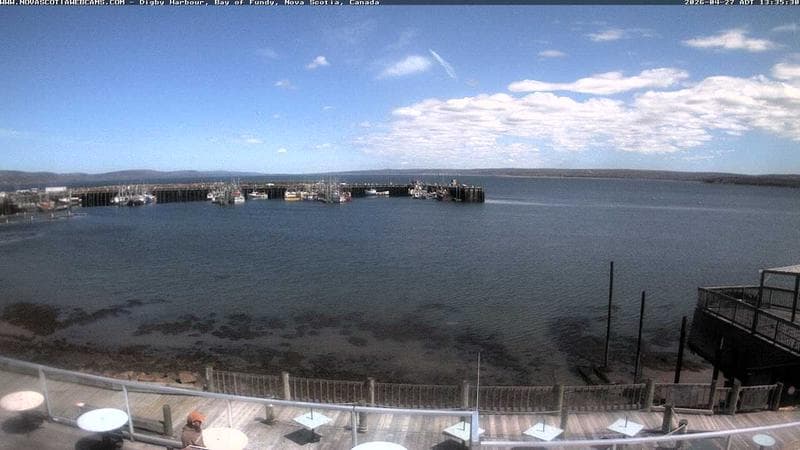 Digby Harbour