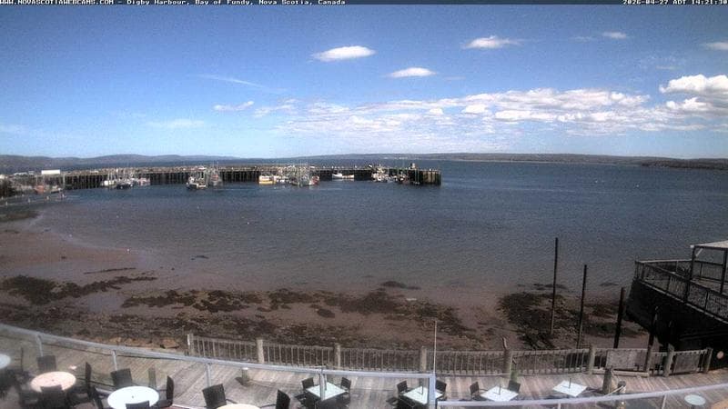Digby Harbour