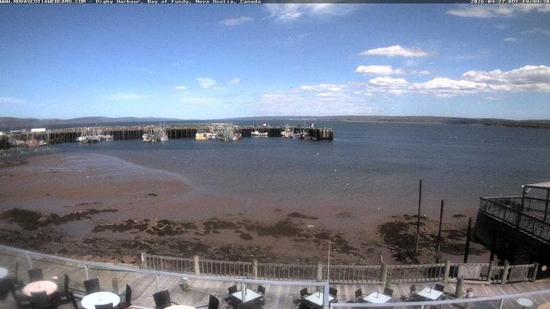 Digby Harbour