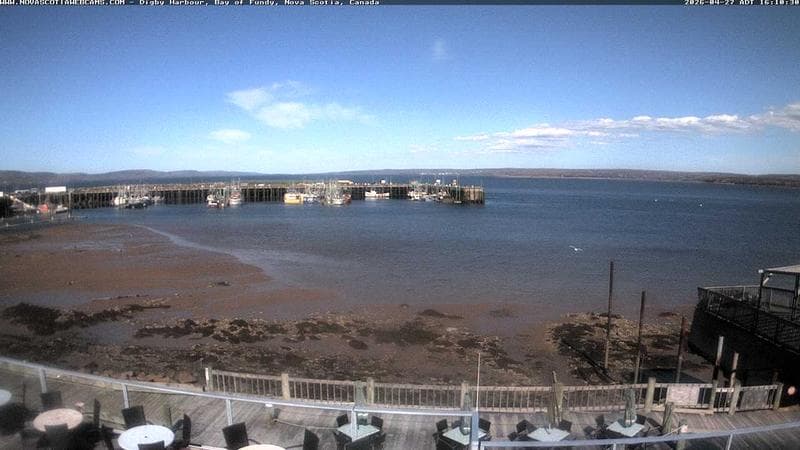 Digby Harbour