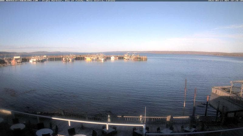 Digby Harbour