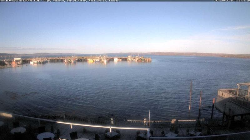Digby Harbour