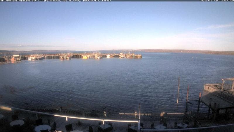 Digby Harbour