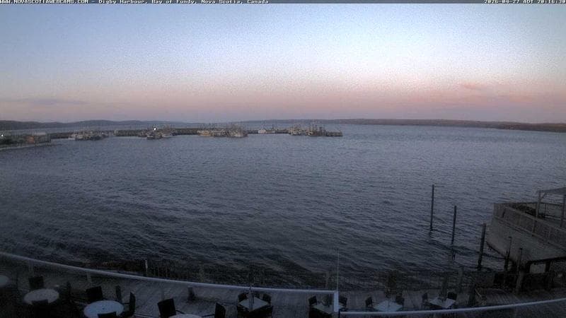 Digby Harbour