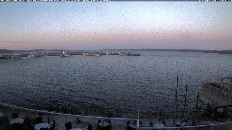 Digby Harbour