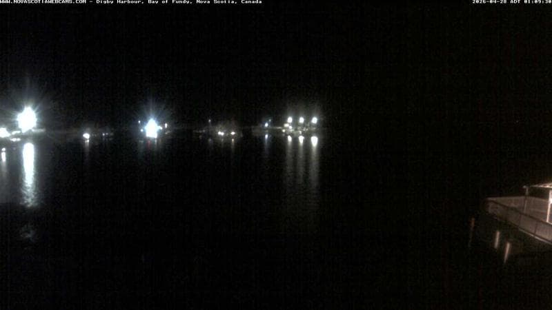 Digby Harbour