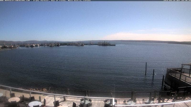 Digby Harbour