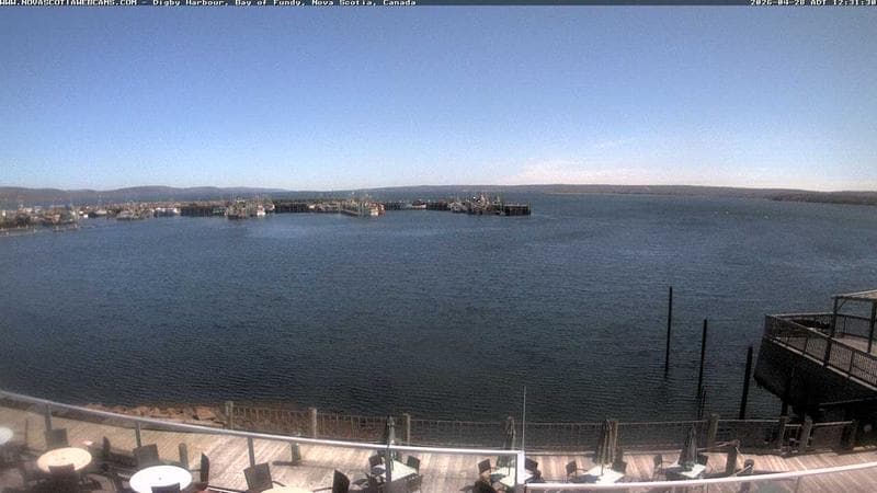 Digby Harbour