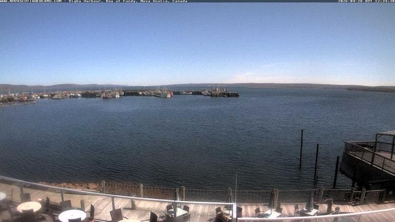 Digby Harbour