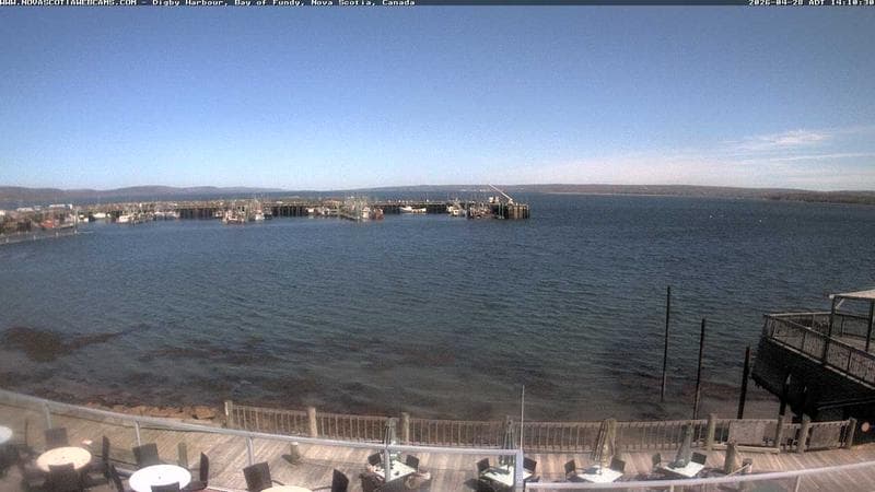 Digby Harbour
