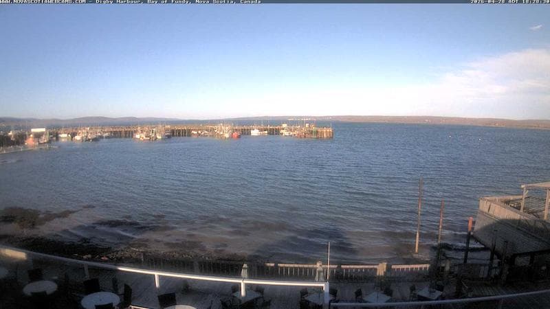 Digby Harbour