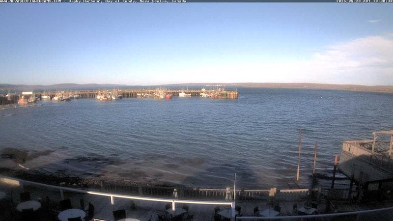 Digby Harbour
