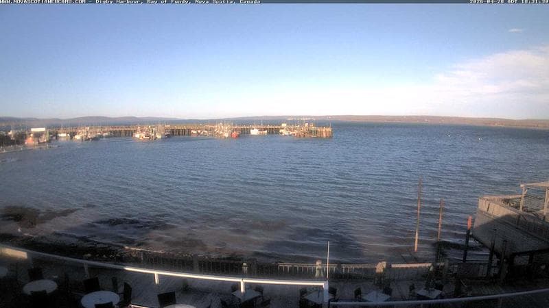 Digby Harbour