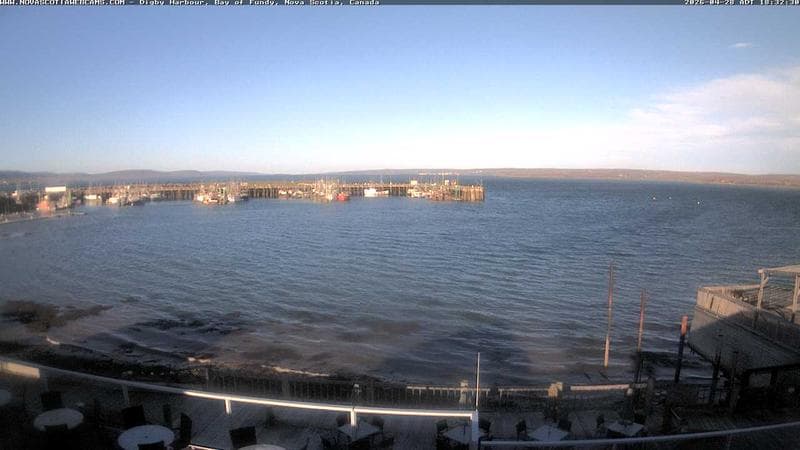 Digby Harbour