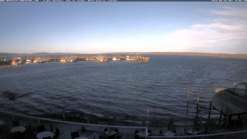 Digby Harbour