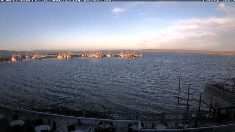 Digby Harbour