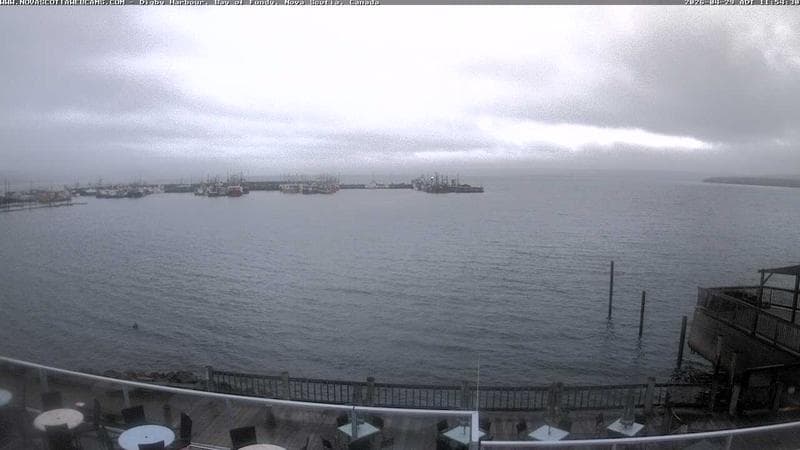 Digby Harbour