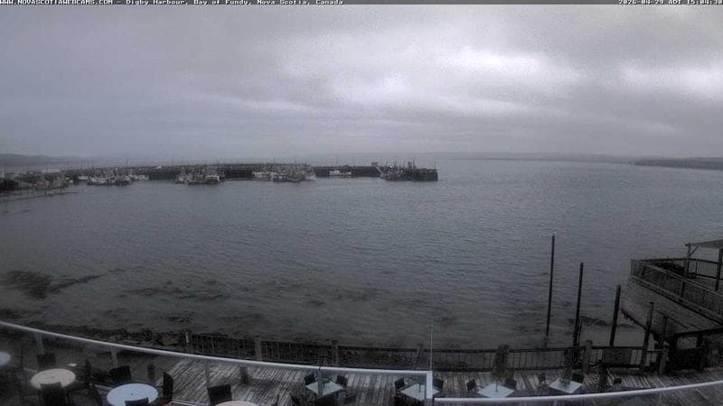 Digby Harbour
