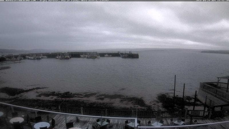 Digby Harbour