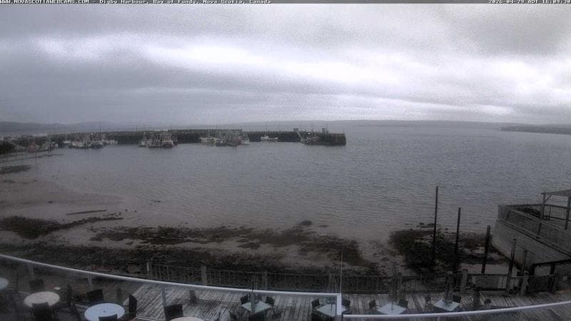 Digby Harbour