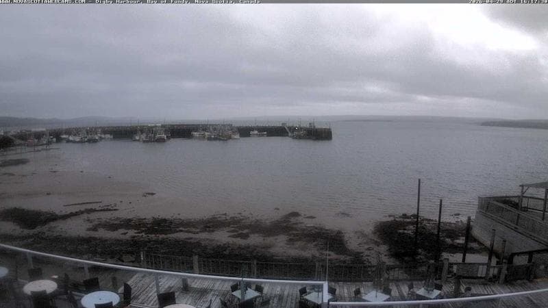 Digby Harbour