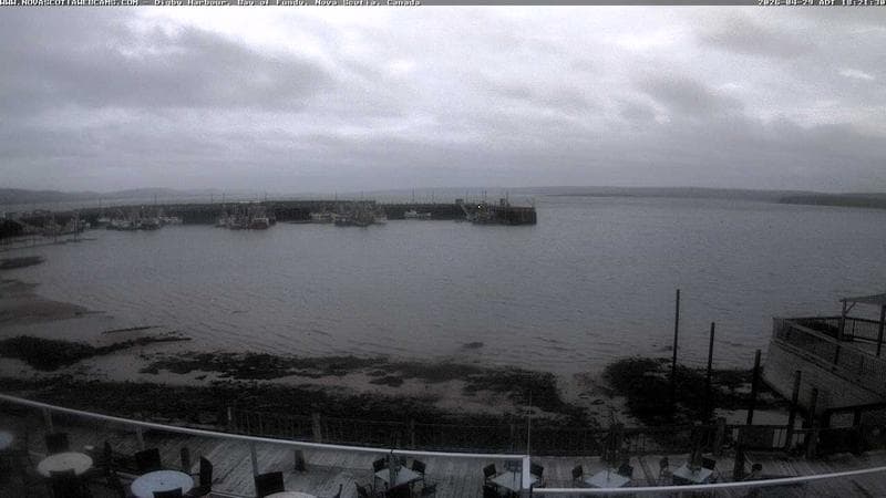 Digby Harbour
