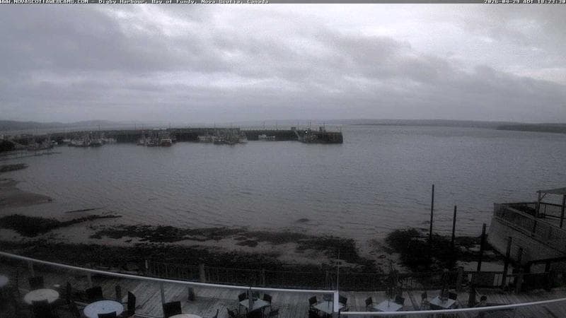 Digby Harbour