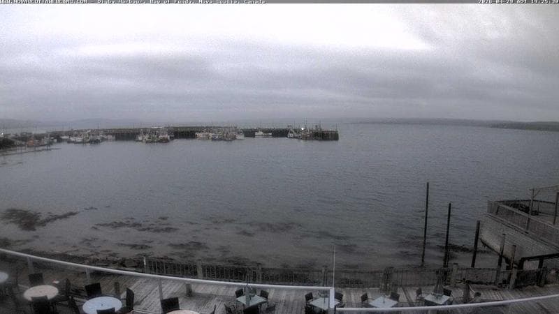 Digby Harbour