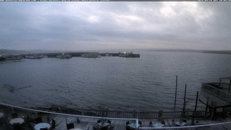 Digby Harbour