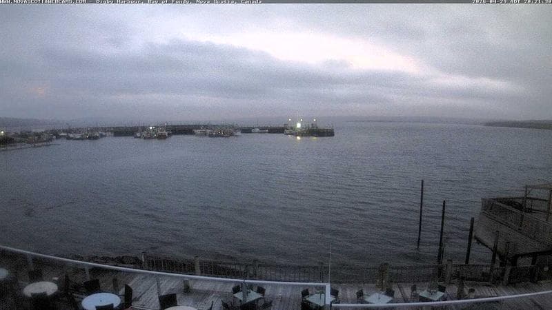 Digby Harbour