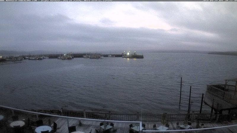Digby Harbour