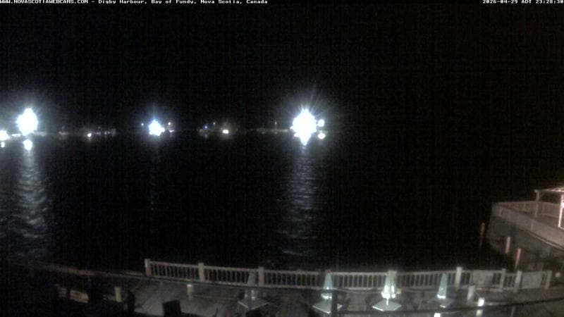 Digby Harbour