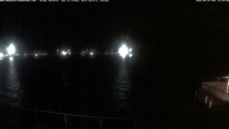 Digby Harbour