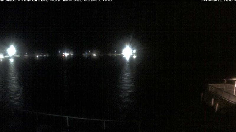 Digby Harbour