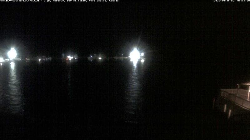 Digby Harbour