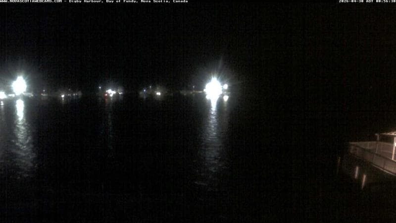 Digby Harbour